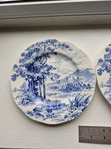 Wedgwood Plates