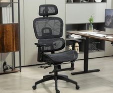 Multi-Adjustable Mesh Office Chair - Black