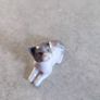 BEAUTIFUL SMALL NAO BY  Lladro Porcelain Figure Attentive Cat Image 3