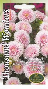 (A) Aster Thousand Wonders Pink seeds 0.3g (414987)