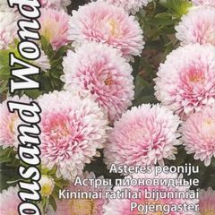 (A) Aster Thousand Wonders Pink seeds 0.3g (414987)
