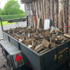 Firewood