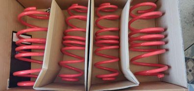 COBRA Lowering Springs Audi A2 Seat Cordoba 6l Ibiza 6l Skoda Fabia 6y 5j Vw Fox 5z Polo 9n