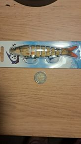 Large Segmented Minnows