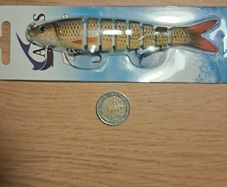 Large Segmented Minnows