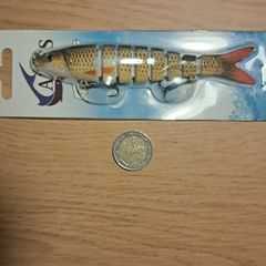 Large Segmented Minnows