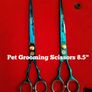 Professional Pet Grooming Scissors for sale Image 2