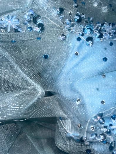 Dani's Showrrom Debs Dress