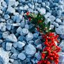 Icy blue stones, cobbles, pebbles, chippings Image 3