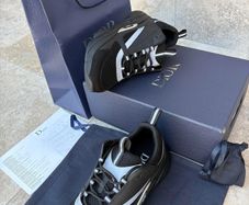 Brand New Dior B22