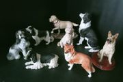 Collection of dog's figurines