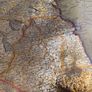 Ireland by Joan Bleau Gold Foiled Map Framed Image 9