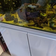 Red Sea reefer 250 aquarium