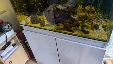 Red Sea reefer 250 aquarium