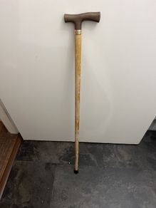 walking stick