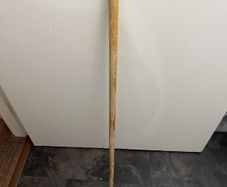 walking stick