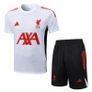 Liverpool Training Set Image 2