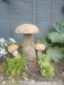 Granite mushrooms
