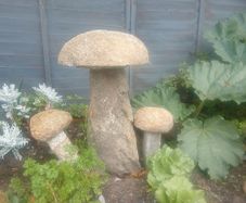 Granite mushrooms