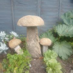 Granite mushrooms