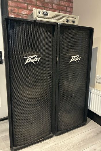 Speakers (Peavy PV215 Passive)