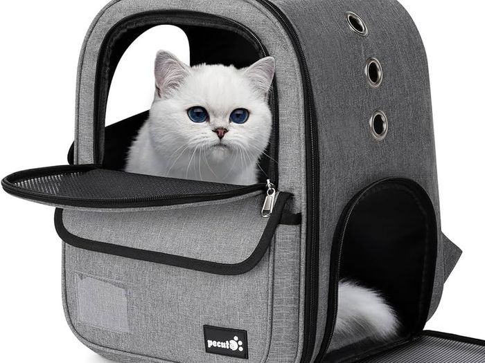 NEW SALE | Cat Carrier Backpack, Breathable Pet Carrier With Multi-entrance, Front Pack for Kitten