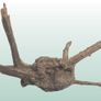 Red Moor Wood/Azalea Wood Image 3