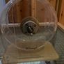 hamster Image 2