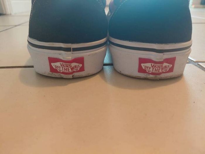 Mens Vans Flame