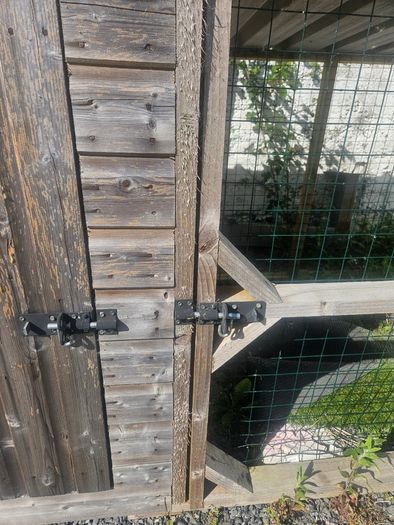 Dog run with sleeper box