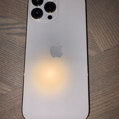 iPhone 13 Pro Max (gold)