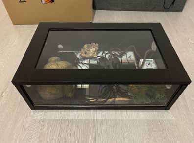 Hatchling Snake Starter Kit