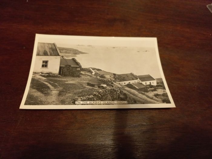 Vintage Postcard On the Blasket Islands Dingle