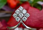 Vintage 0.66ct Diamond Cluster Leaf Ring - 18ct White Gold