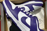 Nike Dunk low court purple shoe