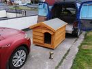 Heavy duty dog kennels all sizes Image 5