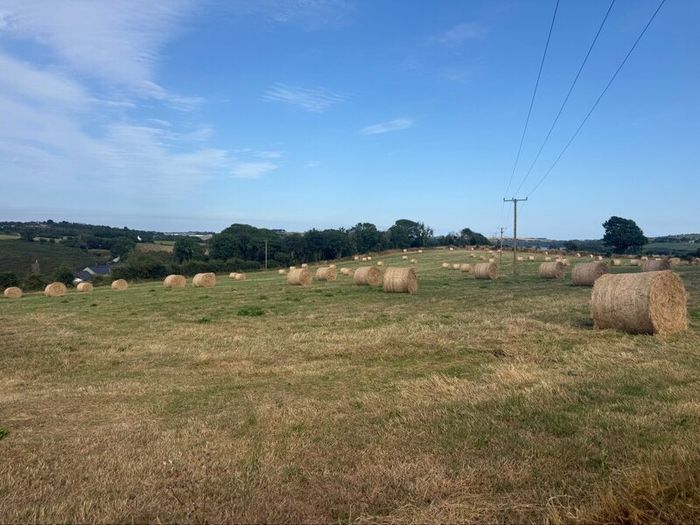 Quality Hay