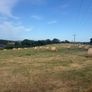 Quality Hay Image 2