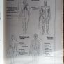 The Complete Guide to Food Allergy and Intolerance Image 8