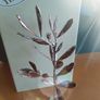 Silverplated Greek olive tree Image 5