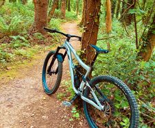 Full suspension mtb - Ibis Ripmo AF 2021 (L)