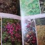 Simpson's Flora of Suffolk / Francis W. Simpson / 1st edition/ 1982 Image 10
