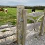 Large Cedar Wood Gates Image 3