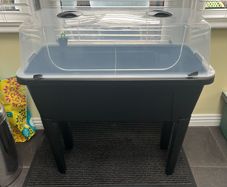 Raised planter