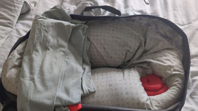 BB hug me pregnancy pillow