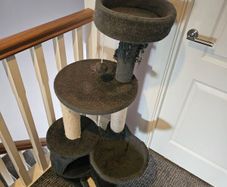 Cat trees, used but in good condition
