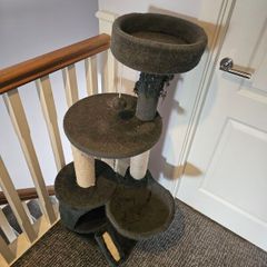 Cat trees, used but in good condition