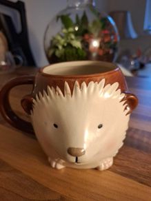 Hedgehog mug ...