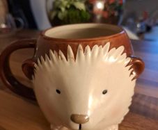 Hedgehog mug ...
