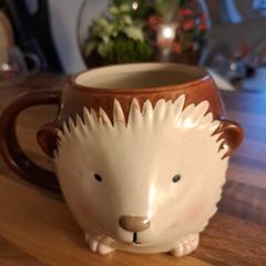 Hedgehog mug ...